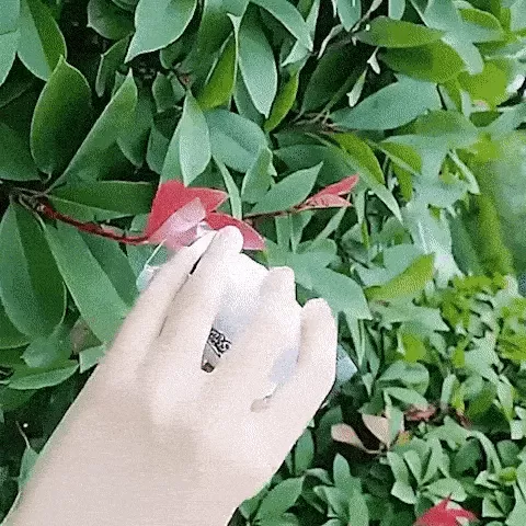 Handheld Microscope Handheld Microscope