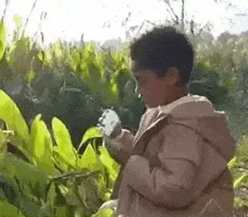 Compact LED Handheld Microscope Compact LED Handheld Microscope